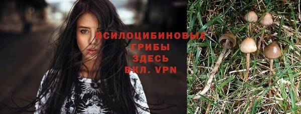 спайс Алексин
