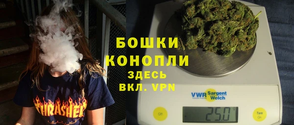 спайс Алексин