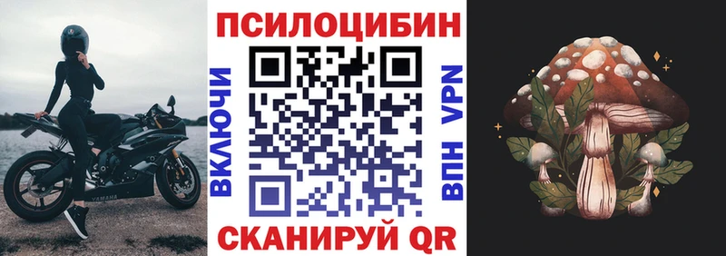 Галлюциногенные грибы MAGIC MUSHROOMS  где продают   Похвистнево 