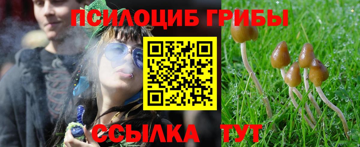 Галлюциногенные грибы Magic Shrooms  Галлюциногенные грибы прущие грибы  Вход с VPN  дарнет шоп  Похвистнево 